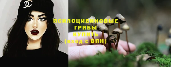 мяу мяу мука Абдулино