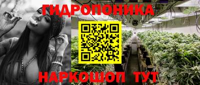 ALPHA PVP Комсомольск-на-Амуре