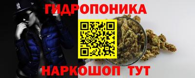 ПСИЛОЦИБИНОВЫЕ ГРИБЫ Коммунар