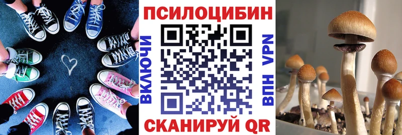 Псилоцибиновые грибы Cubensis  Лесозаводск 