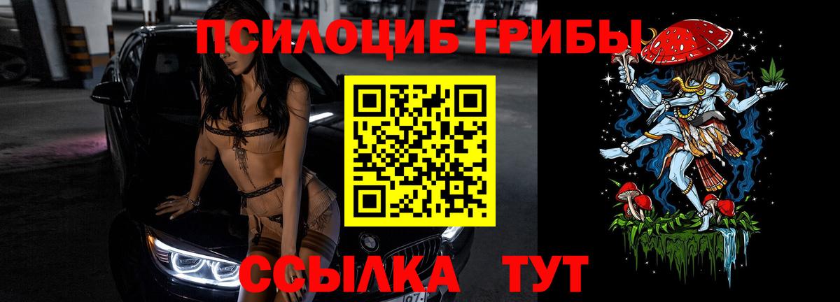 Галлюциногенные грибы Cubensis Лесозаводск